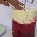 postres-tortas-cumpleanos-medellin_vainilla_frutos_rojos_video